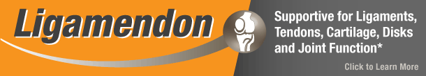 Progena - Ligamendon