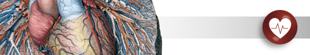Progena_Cardiovascular.jpg