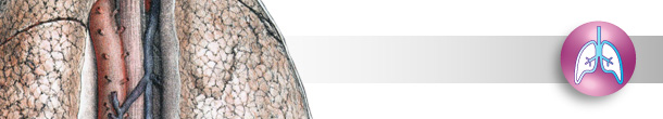 Progena_Respitory.jpg